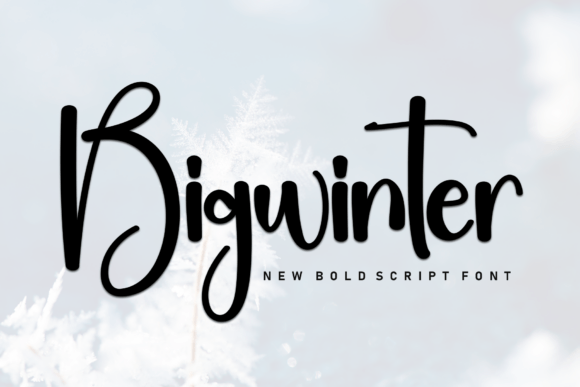 Bigwinter: A Bold Script Font That Makes Your Headlines Pop